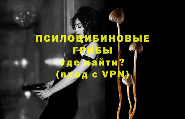 прущие грибы Арсеньев
