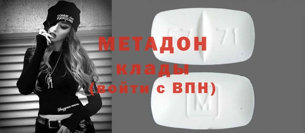 прущие грибы Арсеньев
